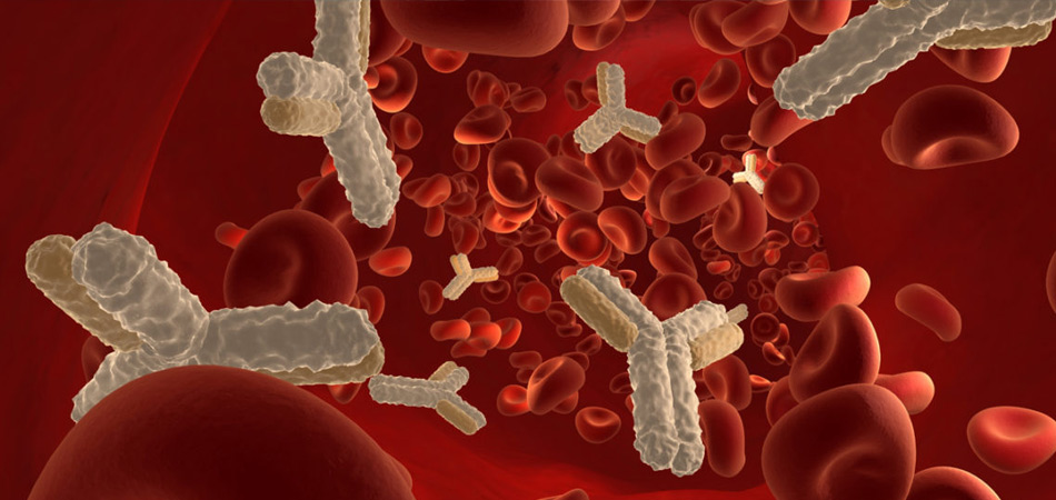 Cheap and Affordable  Bone Marrow Transplant in India, Best Hospitals for  Bone Marrow Transplant in India, Best Doctors for  Bone Marrow Transplant in India , Medkaizen Global, Apollo Hospitals, Fortis Hospitals, Max Hospitals, Artemis Hospitals, Medanta Hospitals, Manipal Hospitals, Hospitals for Medical Tourism in India, Hospital for Medical Treatment in India, Hospitals for Surgery in India, Medical Tourism in India, Medical Treatment in India, Surgery in India, Medical Tourism Company