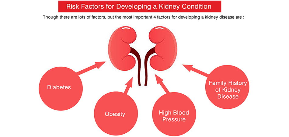 Cheap and Affordable Kidney Transplant in India, Best Hospitals for Kidney Transplant in India, Best Doctors for Kidney Transplant in India , Medkaizen Global, Apollo Hospitals, Fortis Hospitals, Max Hospitals, Artemis Hospitals, Medanta Hospitals, Manipal Hospitals, Hospitals for Medical Tourism in India, Hospital for Medical Treatment in India, Hospitals for Surgery in India, Medical Tourism in India, Medical Treatment in India, Surgery in India, Medical Tourism Company