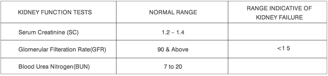 Cheap and Affordable Kidney Transplant in India, Best Hospitals for Kidney Transplant in India, Best Doctors for Kidney Transplant in India , Medkaizen Global, Apollo Hospitals, Fortis Hospitals, Max Hospitals, Artemis Hospitals, Medanta Hospitals, Manipal Hospitals, Hospitals for Medical Tourism in India, Hospital for Medical Treatment in India, Hospitals for Surgery in India, Medical Tourism in India, Medical Treatment in India, Surgery in India, Medical Tourism Company