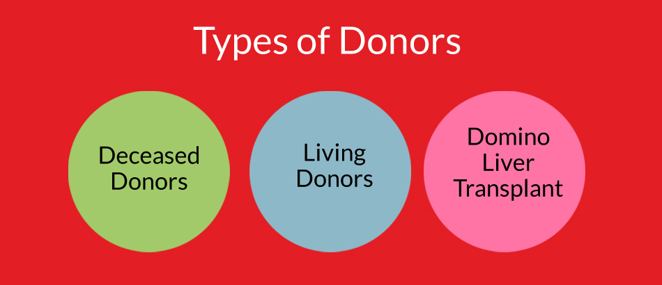 Cheap and Affordable Liver Transplant in India, Best Hospitals for Liver Transplant in India, Best Doctors for Liver Transplant in India , Medkaizen Global, Apollo Hospitals, Fortis Hospitals, Max Hospitals, Artemis Hospitals, Medanta Hospitals, Manipal Hospitals, Hospitals for Medical Tourism in India, Hospital for Medical Treatment in India, Hospitals for Surgery in India, Medical Tourism in India, Medical Treatment in India, Surgery in India, Medical Tourism Company