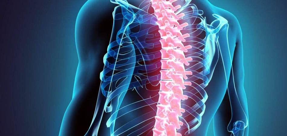 Cheap and Affordable Spine Surgery in India, Best Hospitals for Spine Surgery in India, Best Doctors for Spine Surgery in India , Medkaizen Global, Apollo Hospitals, Fortis Hospitals, Max Hospitals, Artemis Hospitals, Medanta Hospitals, Manipal Hospitals, Hospitals for Medical Tourism in India, Hospital for Medical Treatment in India, Hospitals for Surgery in India, Medical Tourism in India, Medical Treatment in India, Surgery in India, Medical Tourism Company